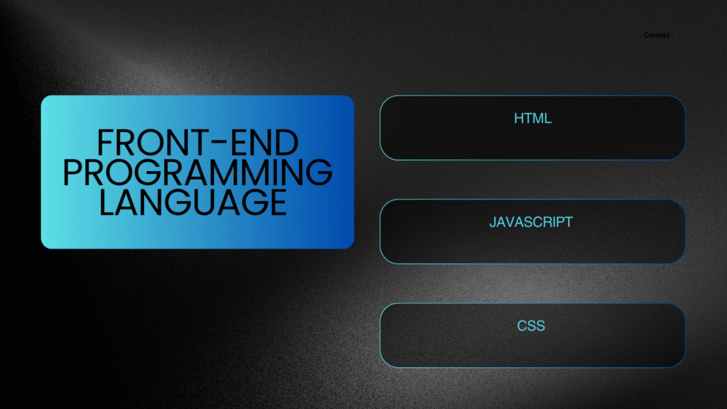 Front-end programming language