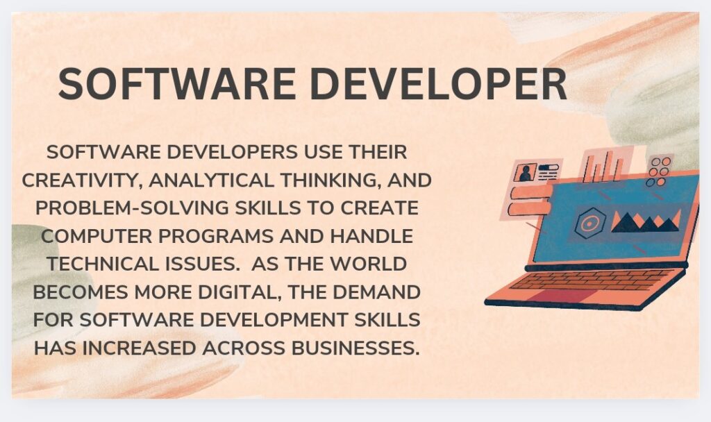 Software developer